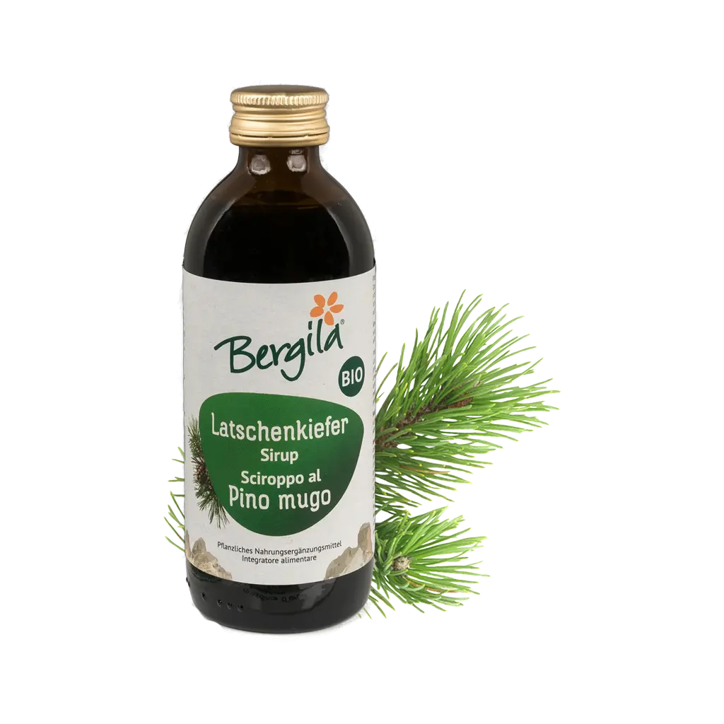 Sciroppo al Pino Mugo Bio Bergila